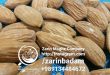 almonds buy
